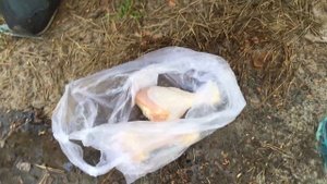 Простая мариновка куриных ножек на шашлык