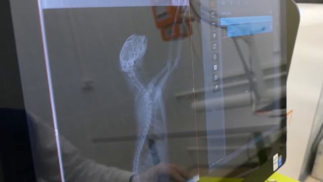 Поступай онлайн. Пермский государственный аграрно-технологический университет. Обучение в России смотреть онлайн