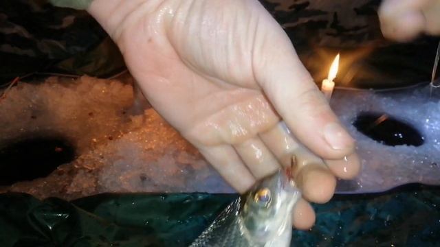 Первый выход на РИЦУ. Ночная рыбалка на ПЛОТВУ. Рыбалка в Запорожье 2021 смотреть онлайн