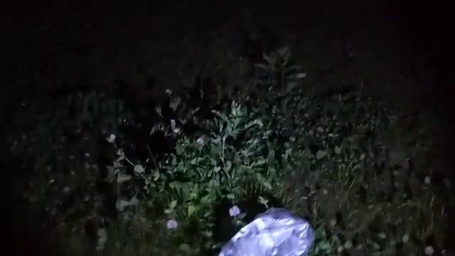 Тест электрошокера! смотреть онлайн