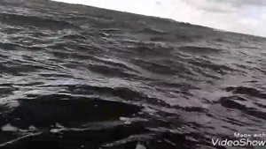 Рыбалка в Фокино, октябрь 2018.