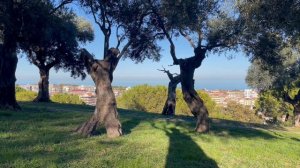 Универсальная фраза Эмиля Куэ, которая заменит собой все позитивные аффирмации.