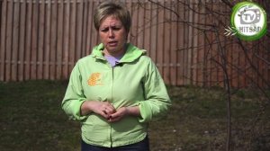 Уход за малиной весной ✔️  Чем подкормить малину весной