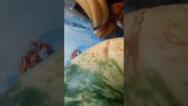 Разрезание арбуза с двумя жёлтыми пятнами смотреть онлайн