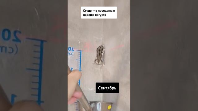 Скоро учёба!