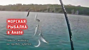 Как ловят ставридку на пустые крючки в Анапе на Черном море