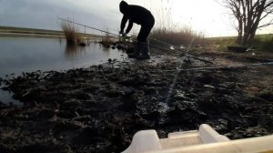 караси лапти. маныч 2023. рыбалка с берега на донки..