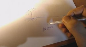 Удивляйте друзей, расскажите им про круглые плоды растений.