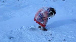 Чукча на рыбалке.avi