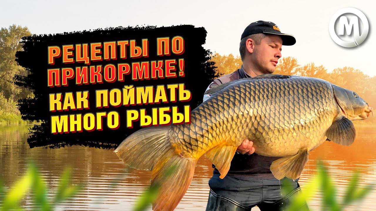 Рецепты по прикормке! Как поймать много рыбы! смотреть онлайн