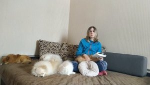 Все о Разведении Померанского Шпица. Ответы на вопросы о разведении померанского шпица.