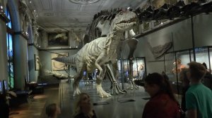 Naturhistorisches Museum Wien 2016