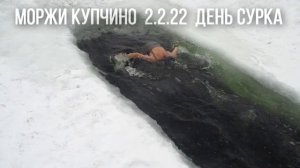 2 февраля 2022 ильбо купчино день сурка прорубь моржи карьеры майна прыжки