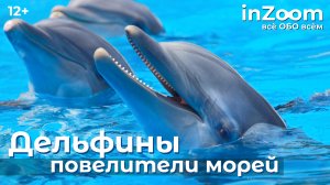 ДЕЛЬФИНЫ - Повелители морей | inZoom 12+