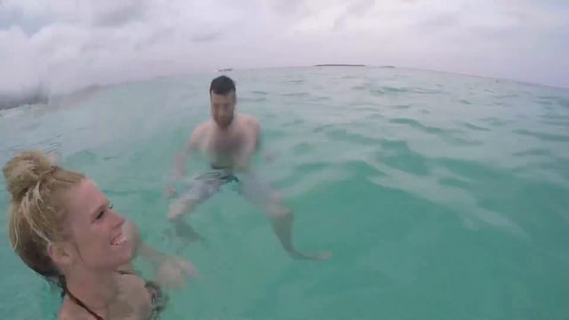 Schafer Honeymoon смотреть онлайн