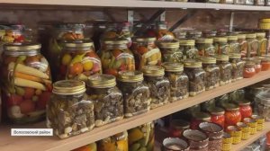 Жительница Волосовского района собрала рекордный урожай лисичек