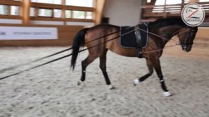 Работа на вожжах