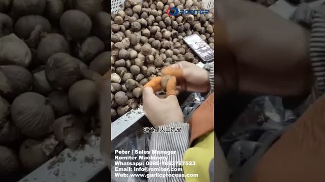 Как сделать черный чеснок на фабрике