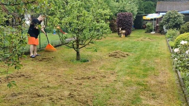 Как избавиться от мха на участке. Мох на газоне смотреть онлайн