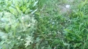 как правильно выбрать цемент для бетона