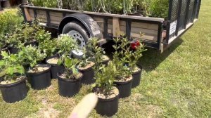 Delivery from Carolina Native Nursery