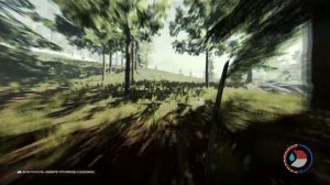 The Forest - где найти Flare GUN и нос самолета ??!