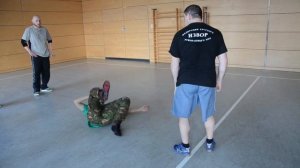 видео из семинара в Германии. Грудев Михаил.