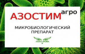 Микробиологический препарат Азостим-агро
