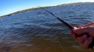 Первая рыбалка в  2019 году г Вольск