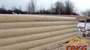 Сруб дома 6 на 8 метров в лапу.