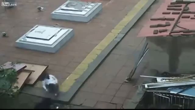 Не увидела собачку смотреть онлайн