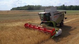 Комбайн CLAAS TUCANO 340