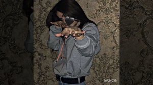 ⚜️Новая песня цыганцкая 2022 называется песня мато ⚜️