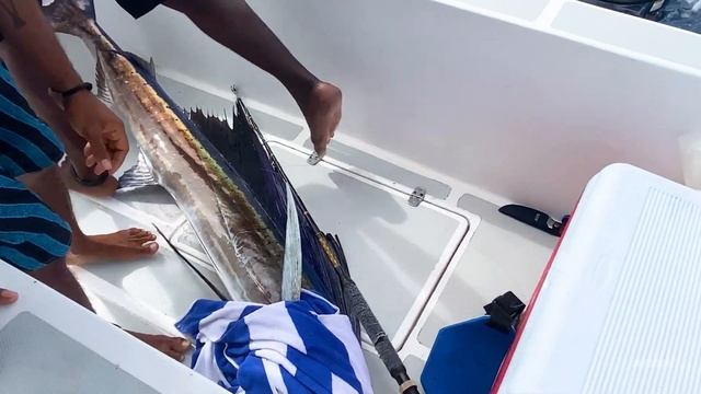 Рыбалка на Сейшелах | Big Game Fishing | Seychelles смотреть онлайн