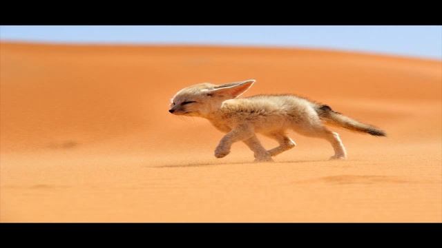 Sahara Is The Largest Desert, Africa - Сахара - самая большая пустыня, Африка - самые красивые мест