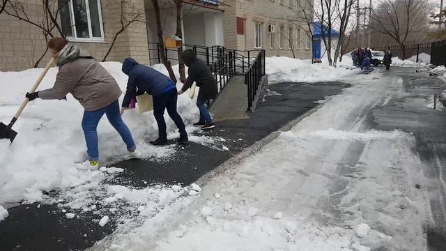 Акция «Зелёная весна» начинается
