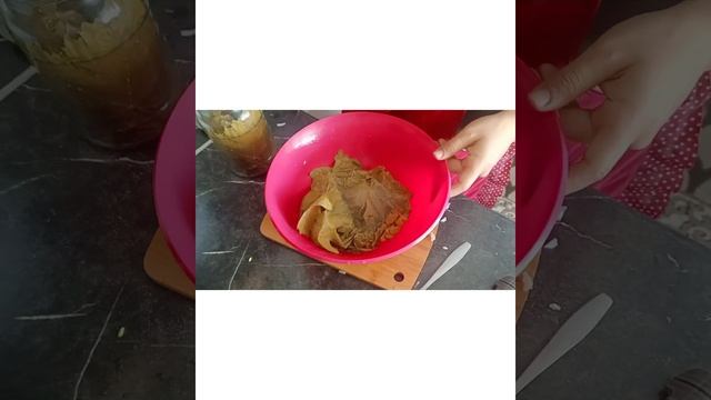 Долма из виноградных листьев. Рецепт от Всегда Вкусно!