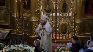 Почему епископ ударил священника на литургии (видео)?