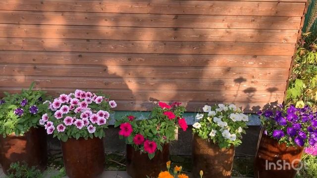 Мои любимые цветочки и Аленушка! смотреть онлайн