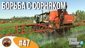 ? ПОЧТИ ЗАКОНЧИЛИ С ПОЛЕВЫМИ РАБОТАМИ | Silverrun Forest | FS22 Platinum Edition | Эпизод 47