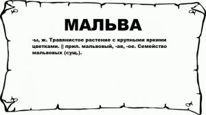 МАЛЬВА - что это такое? значение и описание