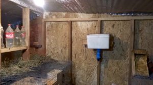 ПОИЛКИ для кроликов // ЛПХ // Жизнь в деревне, кролиководство