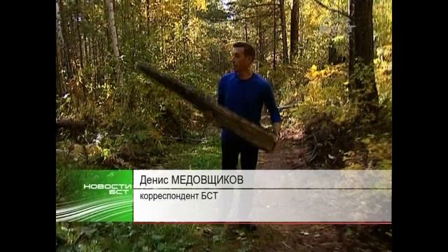 В Братске впервые прошла акция по уборке леса от валежника смотреть онлайн