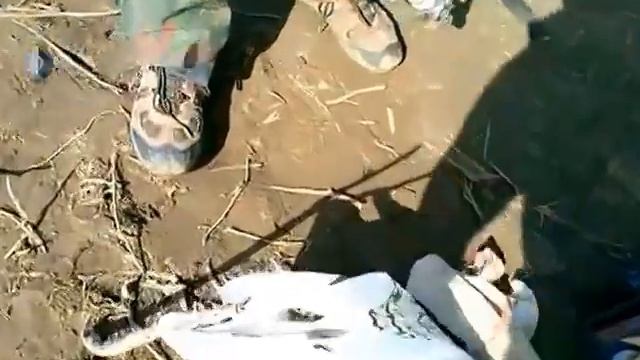 Вобла в Астрахани уже идёт, Рыбалка в Астрахани.25.03.2015 смотреть онлайн