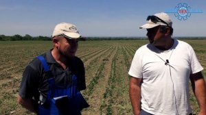 Опрыскиватель ОПШ 3000 - все плюсы и минусы опрыскивателя