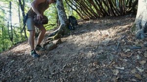 Строительство лагеря в лесу. Соло Бушкрафт. Еда на костре - Часть 1