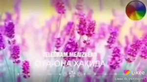 Ота она хакида