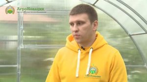 Фундамент из бруса для теплицы