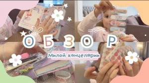 🩷🎀 Обзор милой канцелярии из чемоданчика для скрапбукинга 🩷🎀