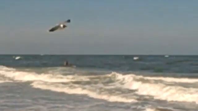 JETTY смотреть онлайн